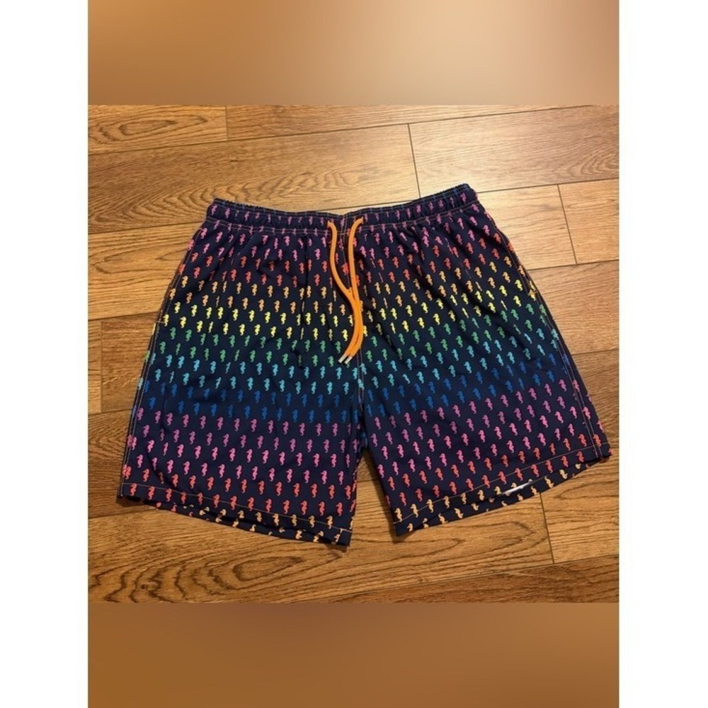 Capelle 3XL Premium Compression  Hybrid Swim Shorts Rainbow Seahorse